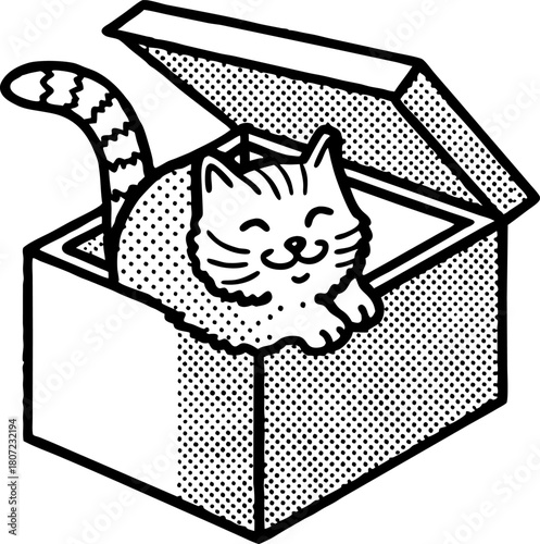 Smiling cat sitting inside open box playful feline, cute animal illustration, happy pet, cozy home concept