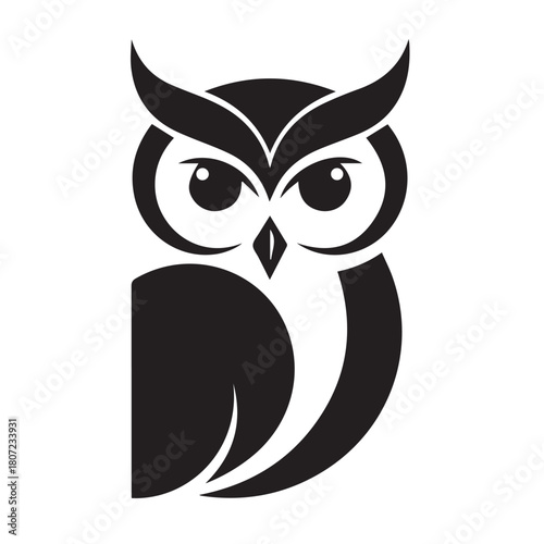 owl perched, staring at the camera, on white background