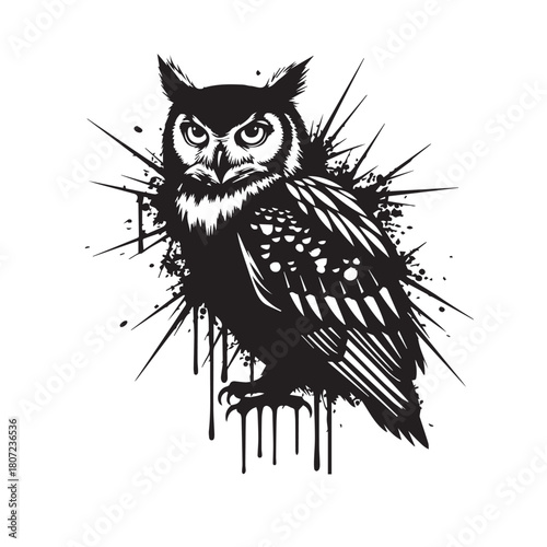 owl perched, staring at the camera, on white background