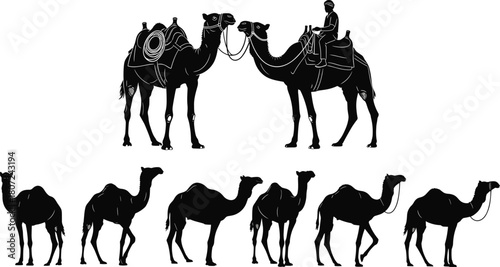 Camel silhouettes set, vector illustration of dromedary animals walking and carrying rider, black desert caravan figures isolated on white background.