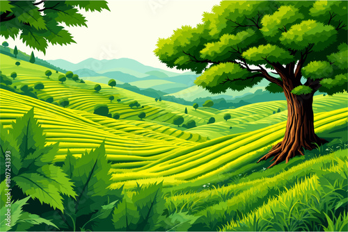 Beautiful tea plantation landscape with lush green fields and a majestic tree on a scenic hillside
