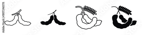 Tamarind icon in linear and clipart style pack on white background.
