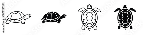 Turtle icon in linear and clipart style pack on white background.