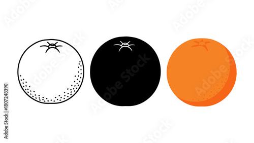 Orange fruit vector illustration simple flat design in outline black silhouette and color isolated on white background