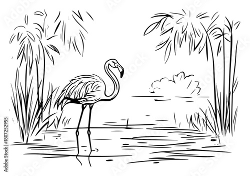 Flamingo standing in lagoon – graceful wading bird among tropical palms line art