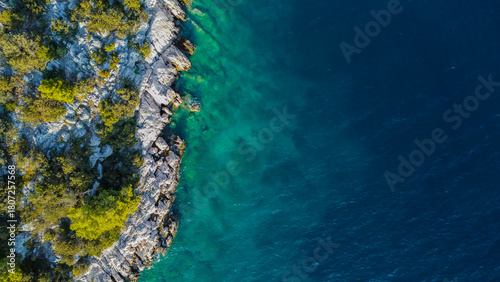Vibrant, rocky coastline covered in lush green vegetation, transitioning into the crystal-clear water