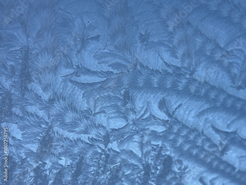 Fern Frost. Frost patterns on glass light blue hazy background.