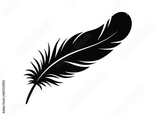0015_2_silhouette-of-feather-black-vector-on-wh_JcJljwZ8StehfeX5tF6PTg_lSdzqNttS8ePIkVMu18N1Q.eps