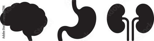 Three black silhouette icons of human organs on a white background Keywords: human organs, anatomy