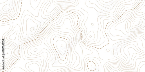 abstract wavy background. topographic contour background. Topography background. Vector banner. 