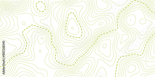 abstract wavy background. topographic contour background. Topography background. Vector banner. 