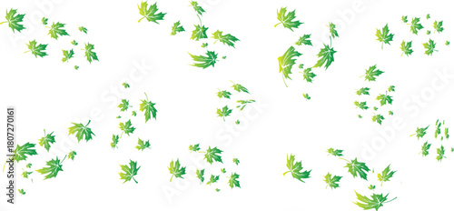 Vector art of green maple leaves scattered on a isolated on
