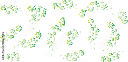 Vector art of green and yellow maple leaves scattered on isolated on