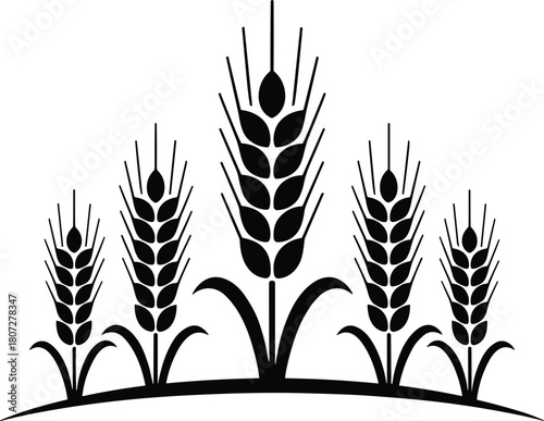  Wheat Stalks Graphic on White Background grain