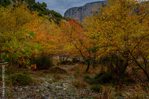 Autumn trees below limestone cliff