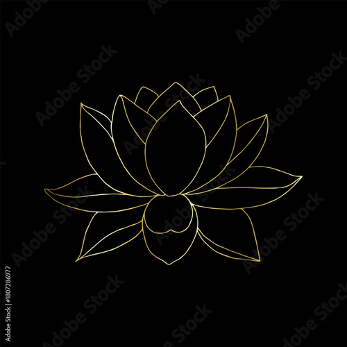 Gold contour of lotus flower hand drawn doodle vector isolated element for premium design. Golden gradient line.