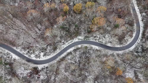 Winding Road Through Snow-Dusted Autumn Forest