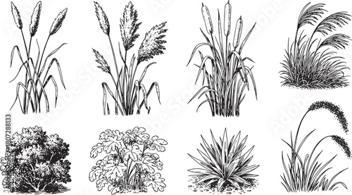 Collection of grass and bush sketches isolated on