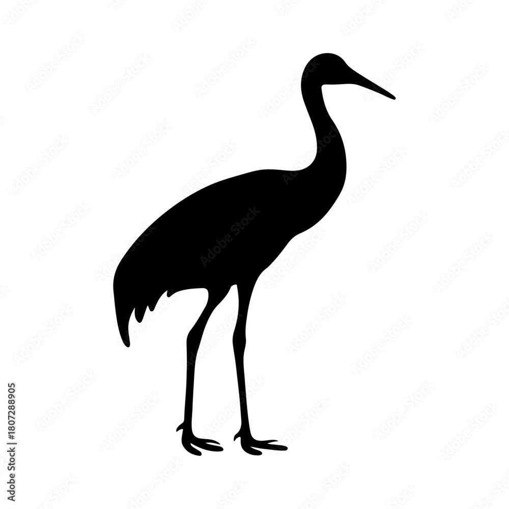 Obraz premium Sandhill crane silhouette.ai