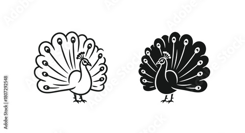 Peacock Icon Set Black and White Silhouette Minimalist Vector Illustration