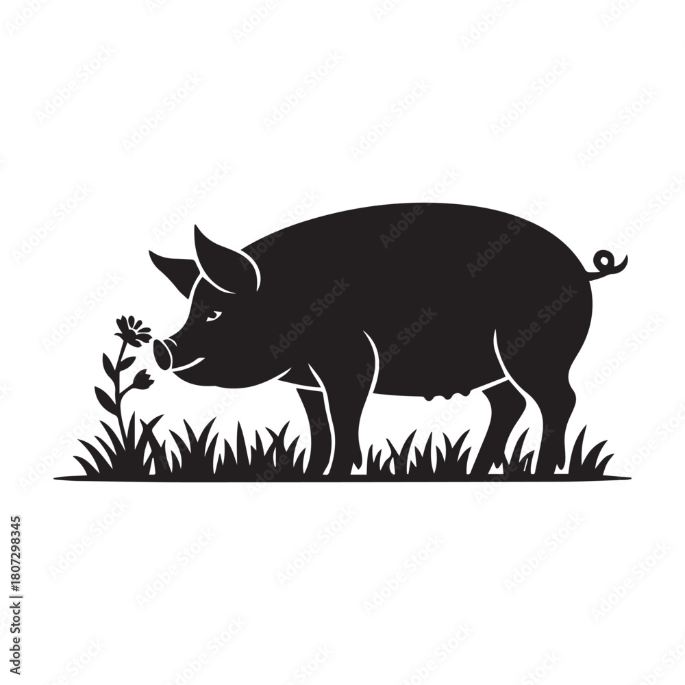 Fototapeta premium Black silhouette of a pig sniffing a flower in grass