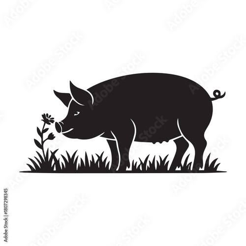Black silhouette of a pig sniffing a flower in grass