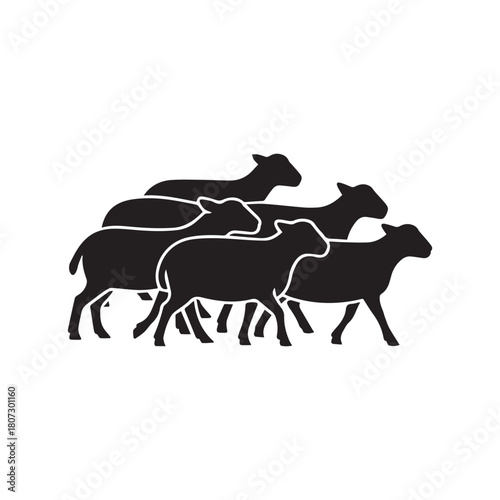 Silhouette of a flock of sheep running together