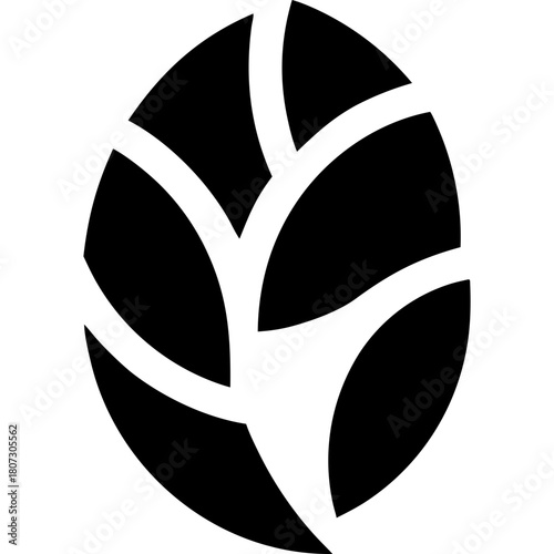 Abstract black leaf with veins art on transparent background silhouette