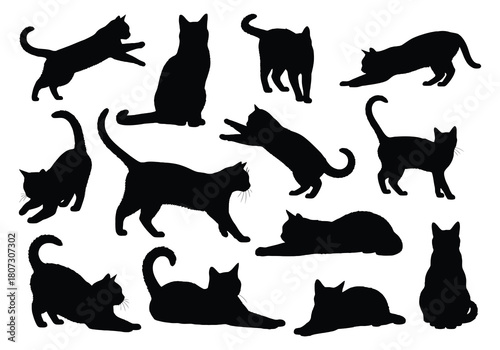 A collection of black cat silhouettes in various dynamic poses