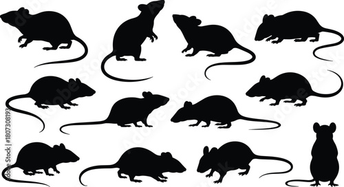 Collection of rat silhouettes, mouse shapes, rodent animal icons, black vector wildlife illustrations, pest control graphics, detailed rodent outline designs for use