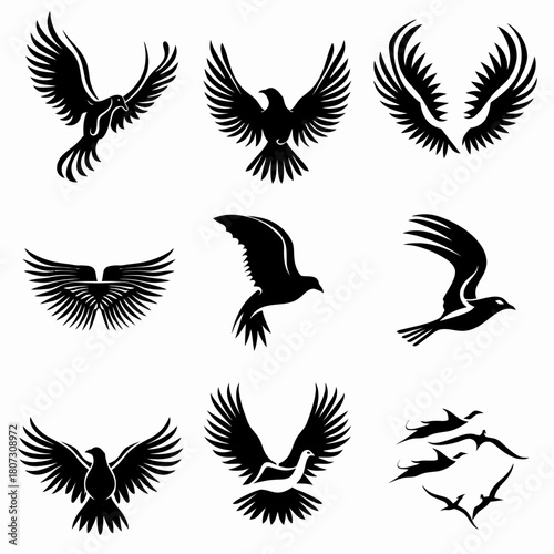 Set of Black Flying Bird Silhouettes: Majestic Eagles, Hawks, and Falcons in Dynamic Flight Poses for Graphic Design