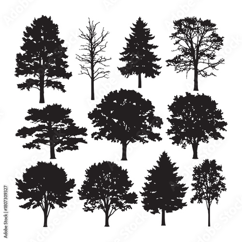 Tree silhouettes vector