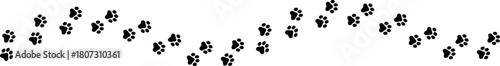 Paw Prints. Cute pets and Dogs pets paw print isolated on white background. Animal paw prints.