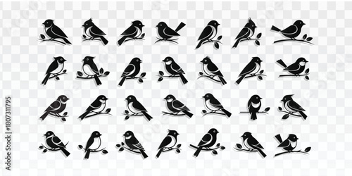 Collection of stylized bird silhouettes perched on branches in different poses. Perfect for nature, wildlife, environmental, and decorative designs, icons, or digital illustration projects.