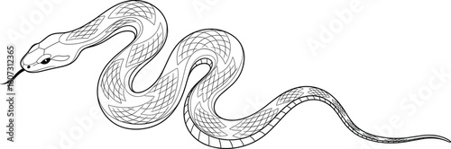 Hand drawn snake vector illustration, detailed reptile outline with crosshatch scales, wild animal design for tattoo, isolated serpent sketch art, graphic