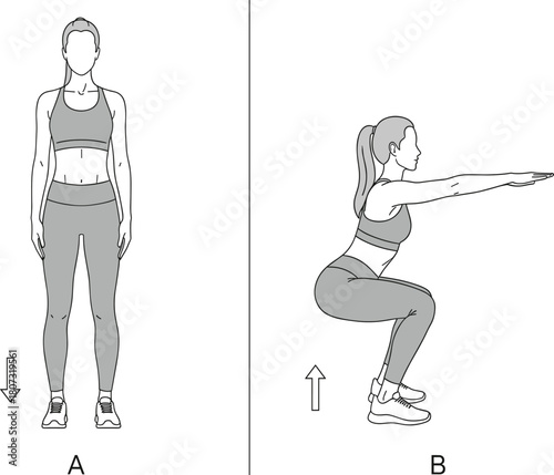 Detailed vector illustration of a woman demonstrating correct squat exercise form for fitness and workout guides.