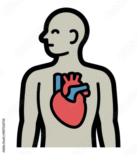 An illustration of a human body with a visible heart, representing health and life.