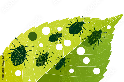 Vector illustration of plant leaf damage with multiple insect pests on surface