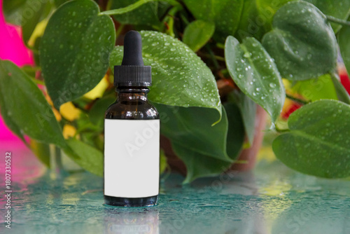 Mockup friendly antiaging facial glass serum bottle with white label for text overlay and green natural plants with water drops in background for moisture and freshness skin moisturizer concept.