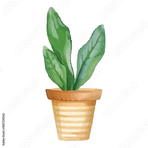 watercolor plants, flower pots. and drawn watercolor daffodils, narcissus grow in clay vase, spring Easter illustration 