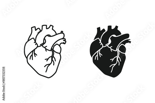 Heart icon in black and white isolated on human organ for blood circulation cardiology and medicine concept anatomy and physiology