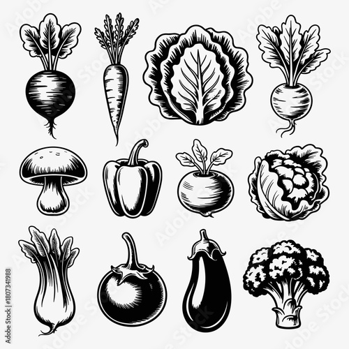 Vegetable Garden's Treasures: A captivating monochrome illustration unveils a vibrant assortment of fresh vegetables, showcasing nature's bounty and culinary potential. 