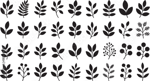 Isolated botanical silhouettes show various leaf and berry sprigs arranged on a white transparent background