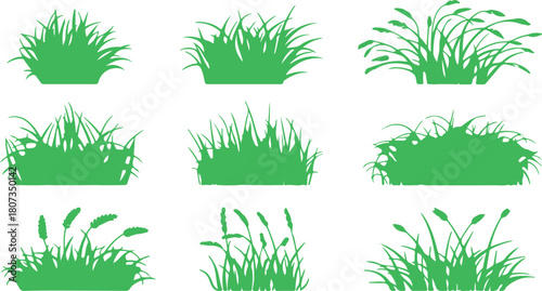 Several green grass clumps show diverse forms, offering naturalistic elements with a transparent background