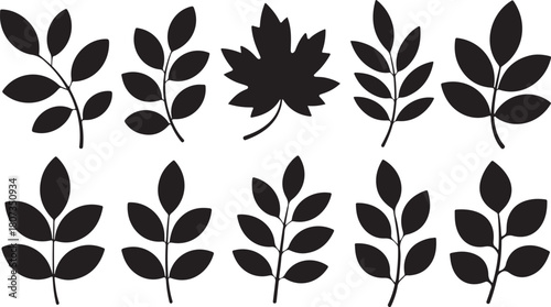 Ten black botanical silhouettes showcase diverse leaf shapes on a clean white transparent background