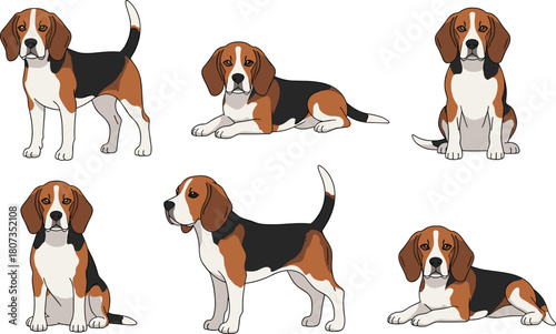 Six Beagle Dog Breed Vector Illustration Collection Set in Various Poses for Pet, Canine, and Animal Graphics Design