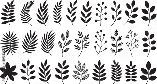 Twenty one black silhouette leaves and sprigs display varied natural forms on a white backdrop
