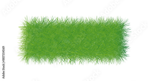 Lush green grass abstract vector illustration element
