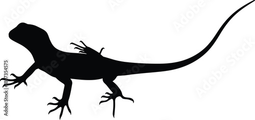 Black lizard silhouette isolated on white background