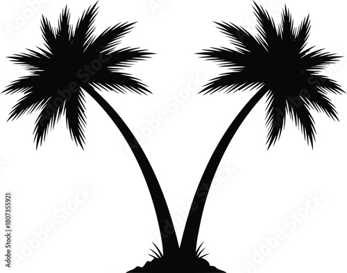 Silhouette twin palm trees arch